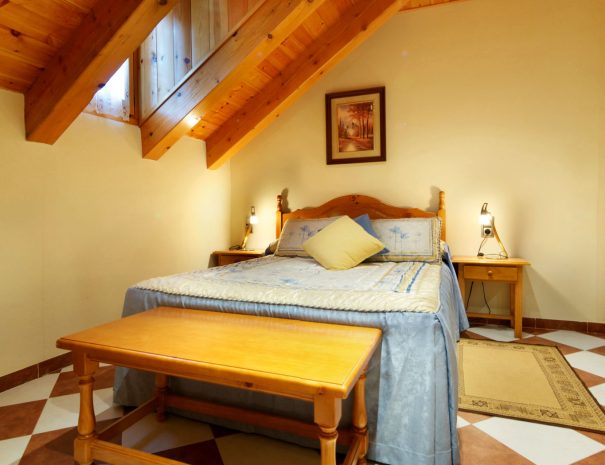 individual-ca-de-graus-castanesa-pirineo-01